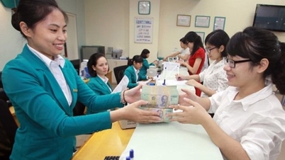 Как внести сбережения в банк, чтобы получить максимальную прибыль?