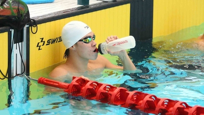 У якому виді спорту В'єтнам може виграти свою першу золоту медаль на SEA Games 33?