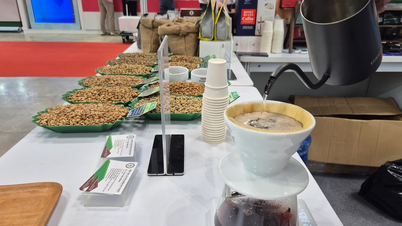 আজ ৯ ডিসেম্বর, ২০২৫ তারিখে কফির দাম: আবার সামান্য বৃদ্ধি