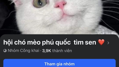 เสียเงินเพราะ "ร้านปลอม"