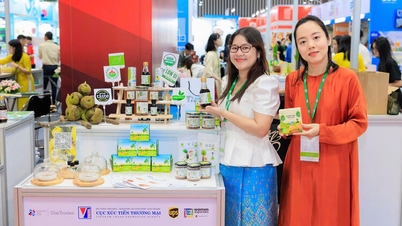 طعم شیرین پالمیرا در منطقه مرزی