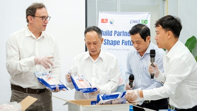 صادرات پنگوسی برای رسیدن به خط پایان تلاش می‌کند