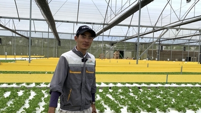 لام ڈونگ ستون کی صنعتوں میں سرمایہ کاری کو فروغ دیتا ہے۔