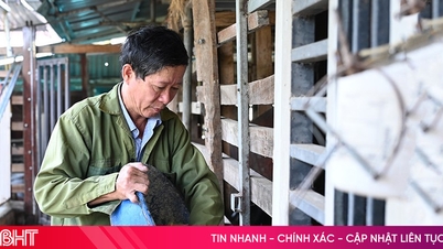 هناك العديد من نماذج المشاريع الاقتصادية الناشئة الجديدة في ثاتش ها