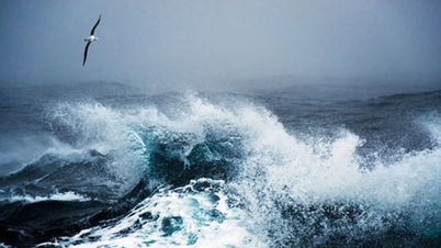 জাপানে শক্তিশালী ভূমিকম্প: সুনামি দেখা দিয়েছে, নাগরিকদের জরুরিভাবে সরিয়ে নেওয়া হয়েছে