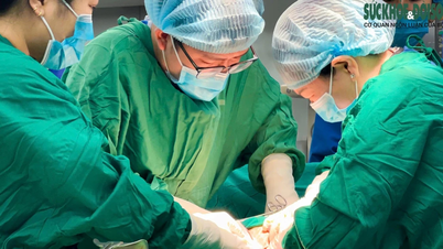 مدينة هوشي منه: أم خضعت لعملية زرع يد أنجبت طفلين ذكرين بصحة جيدة