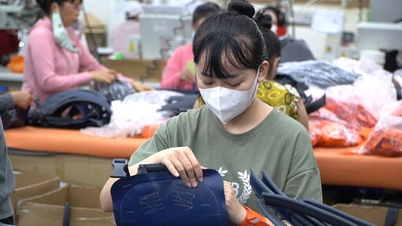 Arbeidsrecht 2025: Meer steun, uitgebreide werkloosheidsuitkeringen