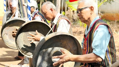 Сприяння ефективності побудови культурного життя на місцях