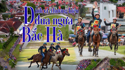 جایگاه‌یابی برند مسابقات اسب‌دوانی Bac Ha