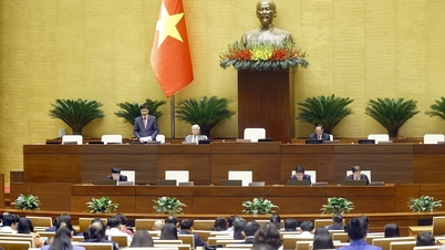 12月9日、国会は司法・法律分野の活動報告を審議した。