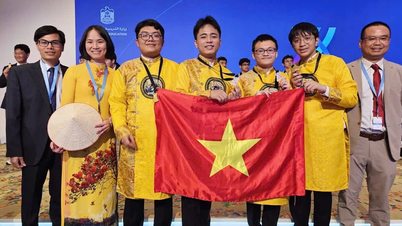 Defender firmemente la inteligencia vietnamita en el ámbito internacional