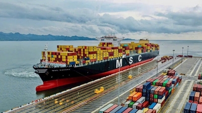 لاجسٹکس کو معیشت کی "ریڑھ کی ہڈی" بنانا