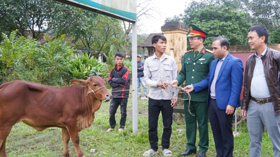 ब्रू-वान कियू लोगों को आजीविका और आशा प्रदान करना