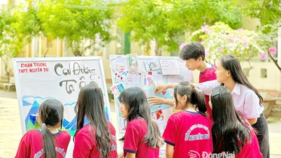 O crescimento do aluno vai além das notas.