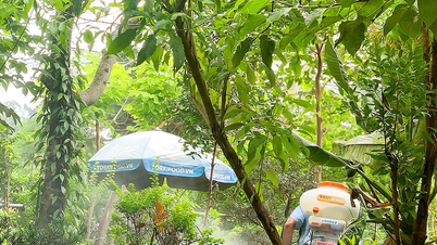 បញ្ហាប្រឈមក្នុងការគ្រប់គ្រង និងបង្ការជំងឺគ្រុនឈាម។