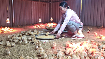 Accompagner les personnes dans leur parcours pour sortir de la pauvreté