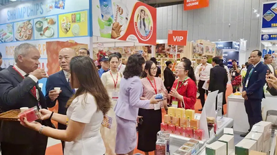 Services et accompagnement aux entreprises