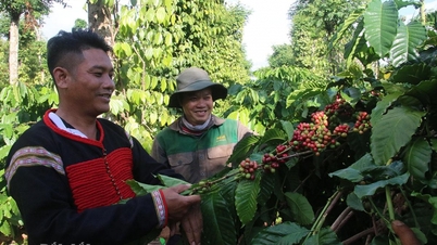 Exemplary village chief overcoming difficulties