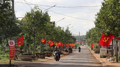 Ea Ning wdraża wiele rozwiązań wspierających redukcję ubóstwa