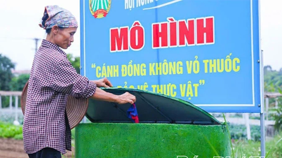 Les agriculteurs de la terre ancestrale s'unissent pour construire de nouvelles zones rurales