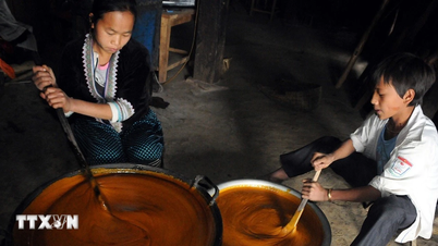 Cukier w kostce – „cudowny lek” dany z nieba dla zdrowia i urody kobiet