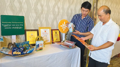 Soutenir les coopératives agricoles pour améliorer leur production et leurs capacités commerciales