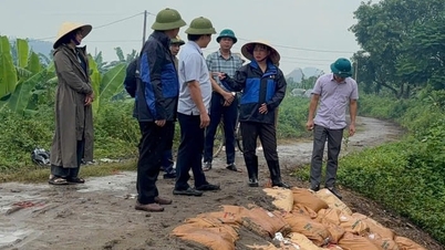 Наслідки замулення русла річки Да До