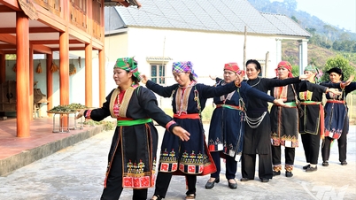 Phu Dinh - Un loc unde converge esența culturii naționale.