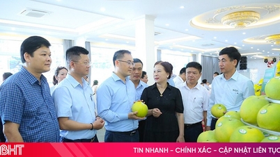 تحسين جودة العمل الإرشادي الزراعي وفق الفكر الاقتصادي الزراعي