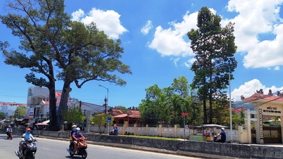 Monumento nacional danificado por enchente; Ministério solicita que Khanh Hoa elabore imediatamente um plano de proteção.