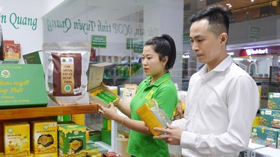 Kod QR – otwieranie produktów rolnych dla dużych sieci handlowych