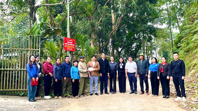 Rozbudź ducha rywalizacji