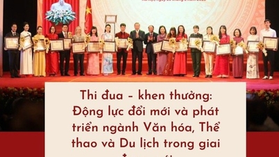 Émulation et récompenses : moteurs d’innovation et de développement du secteur de la culture, du sport et du tourisme dans cette nouvelle période