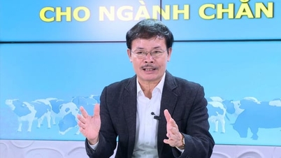 Thị trường sữa Việt Nam chưa bao giờ loạn thương hiệu như vừa qua?