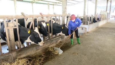 ប្រព័ន្ធស្តង់ដារ និងបទប្បញ្ញត្តិបច្ចេកទេសល្អឥតខ្ចោះសម្រាប់វត្ថុធាតុដើម និងផលិតផលទឹកដោះគោ