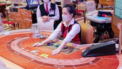 Bedrijven stellen casinoticketprijs voor Vietnamezen voor op 50 miljoen per jaar