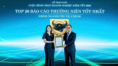 بن ڈائن 2025 میں بہترین سالانہ رپورٹس کے ساتھ ٹاپ 20 انٹرپرائزز میں ہے۔