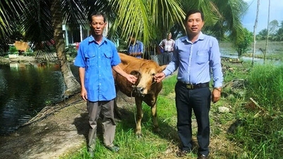 Information et communication – « soft power » pour une réduction durable de la pauvreté