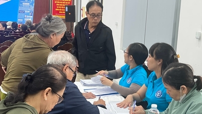 Les entreprises individuelles et les ménages participent activement à l'assurance sociale obligatoire.