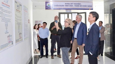 Dänische medizinische Experten arbeiten in Hung Yen