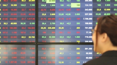 السباق لإصدار الأسهم والطرح العام