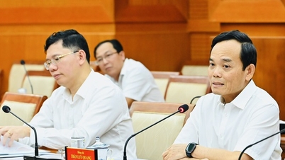 ہو چی منہ سٹی پارٹی کمیٹی کے سیکرٹری عوامی سرمایہ کاری کے سرمائے کی تقسیم کو فروغ دینے کے لیے اجلاس کی صدارت کر رہے ہیں۔