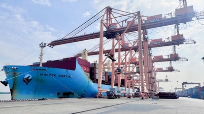 O Porto de Tan Vu ultrapassou a marca de 1 milhão de TEUs por 5 anos consecutivos, reafirmando sua posição como o principal porto da região.