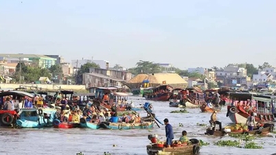 Transformarea orașului Can Tho într-un centru ecoturistic în Delta Mekongului