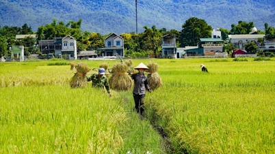 Agricultura y medio ambiente en el camino hacia una economía verde