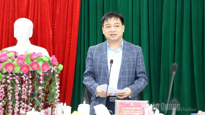 Einholung von Meinungen zur Anpassung der Planung der Provinz Tuyen Quang