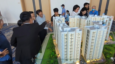 ຄວາມຄາດຫວັງຂອງຕະຫຼາດອະສັງຫາລິມະສັບແຫ່ງຊາດ