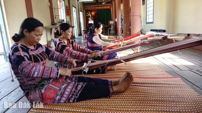 Phát triển sinh kế bền vững từ chương trình 1719