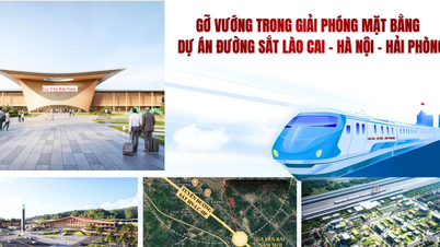 Gỡ vướng trong giải phóng mặt bằng Dự án đường sắt Lào Cai - Hà Nội - Hải Phòng
