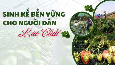 Medios de vida sostenibles para el pueblo Lao Chai
